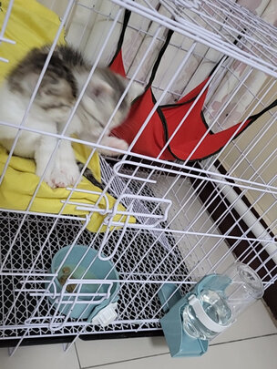 猫笼