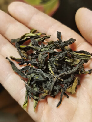 凤凰单枞茶