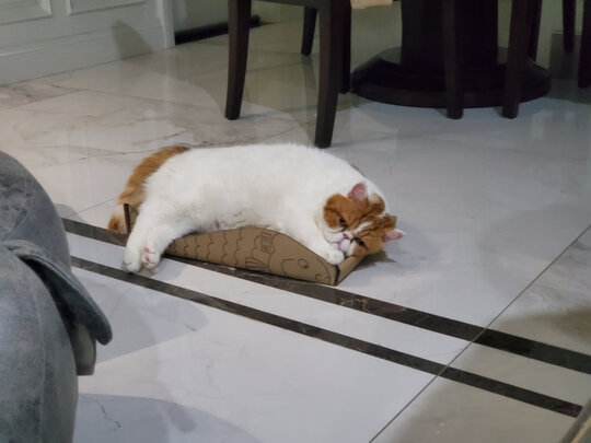 LGA9T-ULTRA吸尘器|评测细节：LG吸尘器质量怎么样？用后三周讲内幕实情真相？