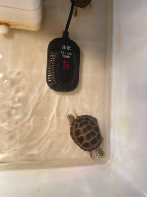 鱼缸加热棒