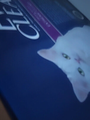 膨润土猫砂
