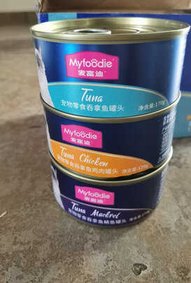 猫罐头