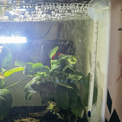 鱼缸氧气泵