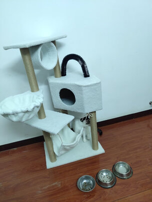 猫爬架