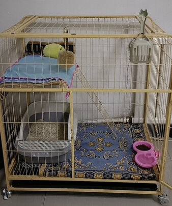 猫笼