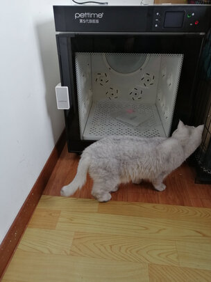  宠物烘干箱