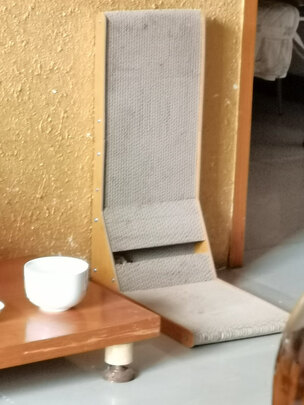 猫窝