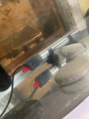鱼缸加热棒