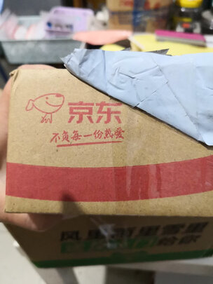 宠物喂药器