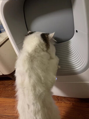 猫砂盆