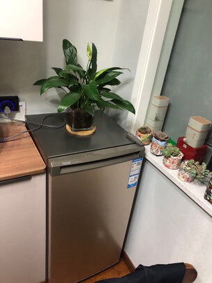 冰柜|用户揭秘海尔BD-102DMG冰柜好吗,入手解密评测真相