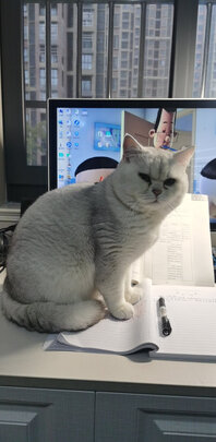 猫粮