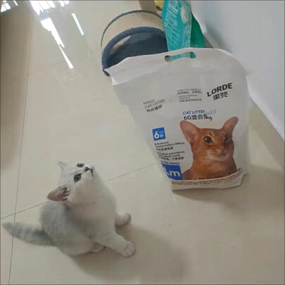 猫砂