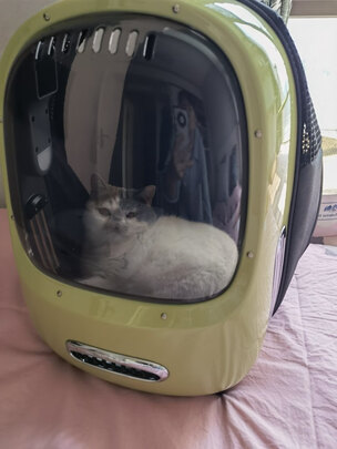 宠物航空箱