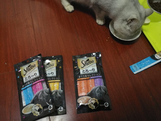 猫条猫零食
