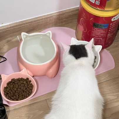 猫粮