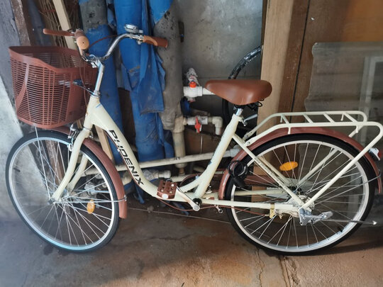 城市自行车