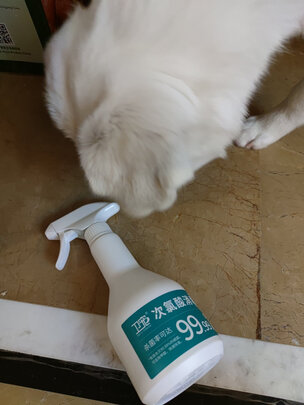 狗狗除臭剂