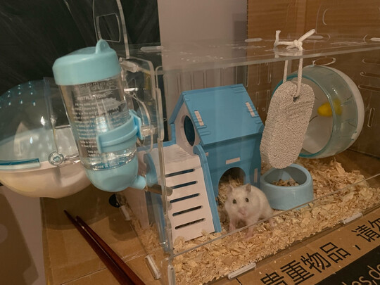 仓鼠水壶