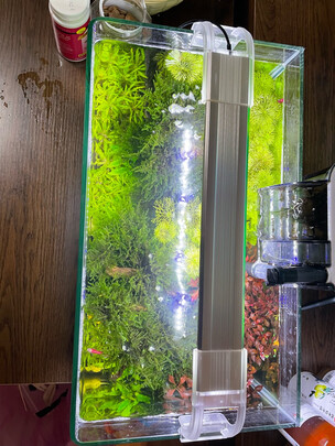 鱼缸灯led灯