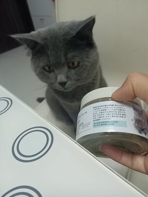 猫零食