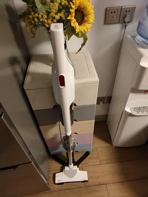 德尔玛DX600吸尘器怎么样评测分析结果告知！