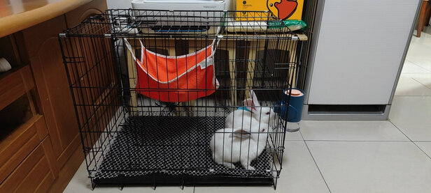 猫笼
