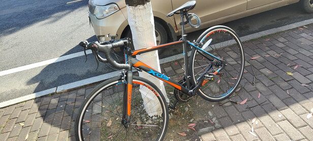 一:选购喜德盛(xds)rx200公路自行车建议