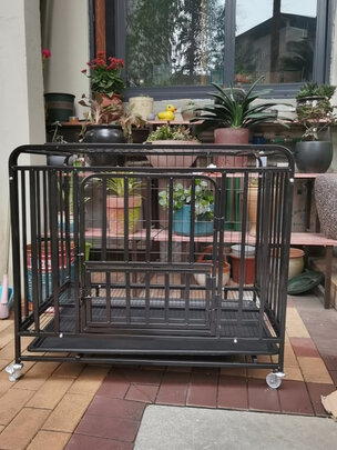 狗笼