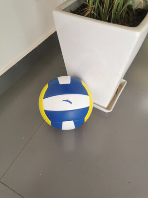 京东自营店购买的安踏排球5号球中学生专用考试用球类产品下午已经收