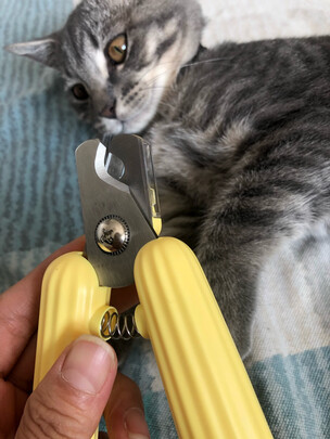 猫咪指甲剪