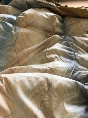 梦洁家纺甄暖95%白鹅绒厚被是哪里生产的，值吗