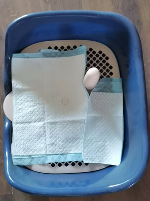 狗厕所