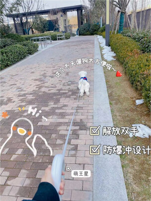 狗绳