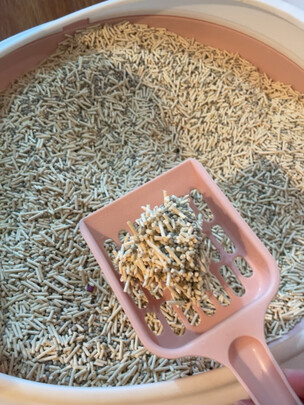 膨润土猫砂