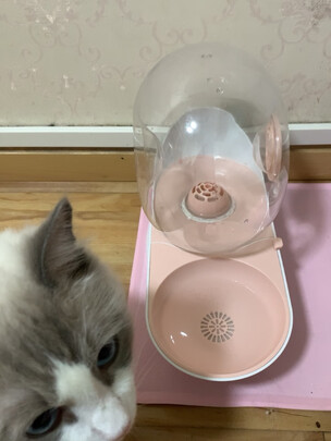 宠物饮水机