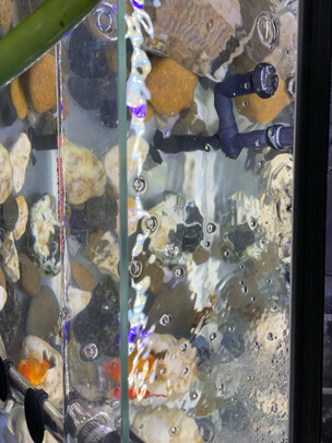 鱼缸灯led灯