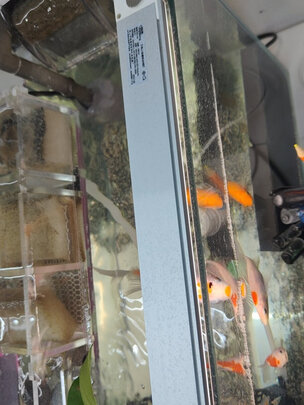 鱼缸潜水泵