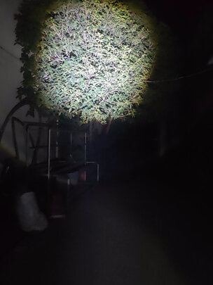 强光手电筒