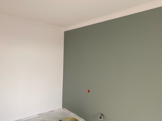 乳胶漆|立邦立邦 金装抗甲醛净味五合一5L乳胶漆如何,值得入手的原因分享！