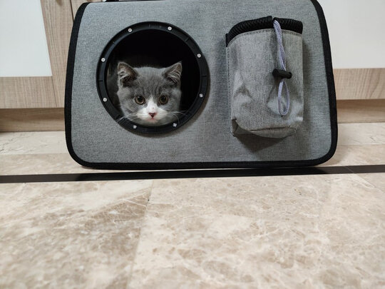 猫包