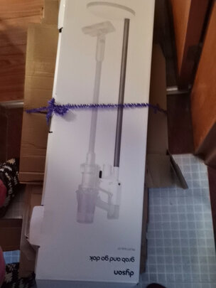 戴森(Dyson)V12 Detect Slim Total Clean轻量无线吸尘器 除螨宠物家庭适用