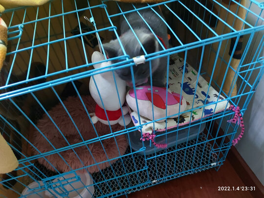 猫笼