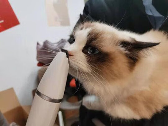 宠物磨甲器