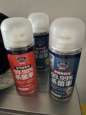 车内异味去除剂