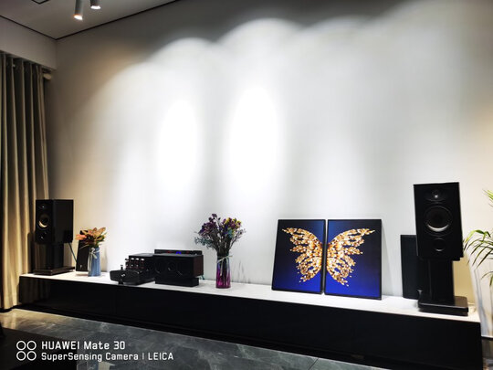 麦丽迪（MELODY） ACTION Ultra胆机功放合并式电子管hifi高保真家用放大器 ACTION Ultra + 惠威D8.1
