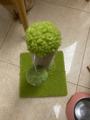 猫爬架