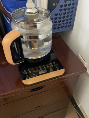 养生壶
