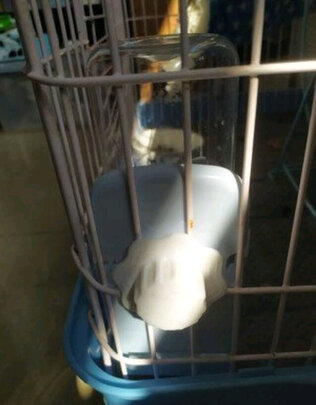 宠物水壶