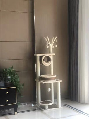 猫爬架